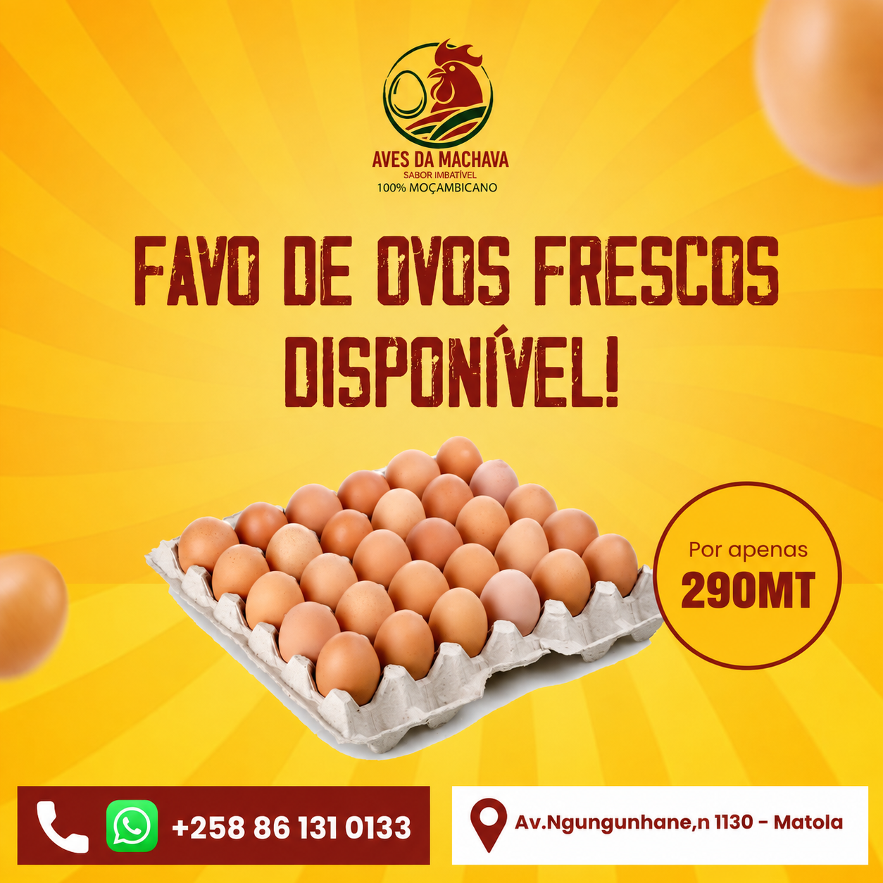 Favo de Ovos Frescos Disponível
